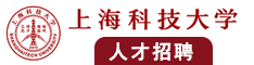 男生的鸡鸡插入女士的下面视频