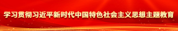 欧美爆操喷水在线观看学习贯彻习近平新时代中国特色社会主义思想主题教育